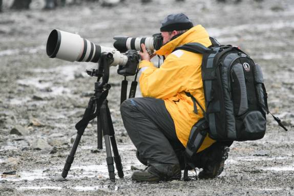 O Brian fotografa as belezas naturais de Salisbury Plain, na Geórgia do Sul